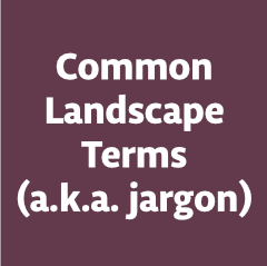 CommonTerms