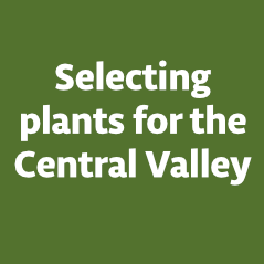 PlantsCentralValley