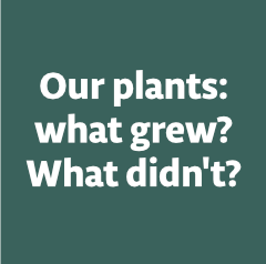 WhatGrew